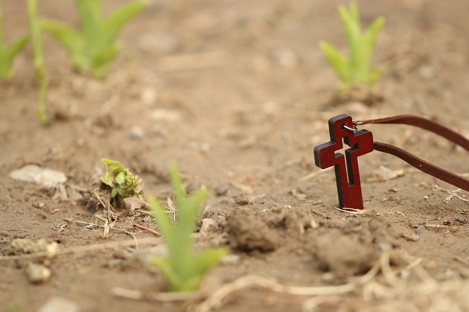 ¡Feliz Pascua de Resurrección!